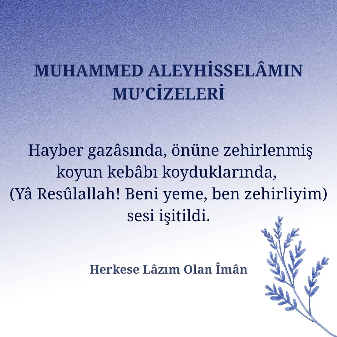 Mucizeleri (7)